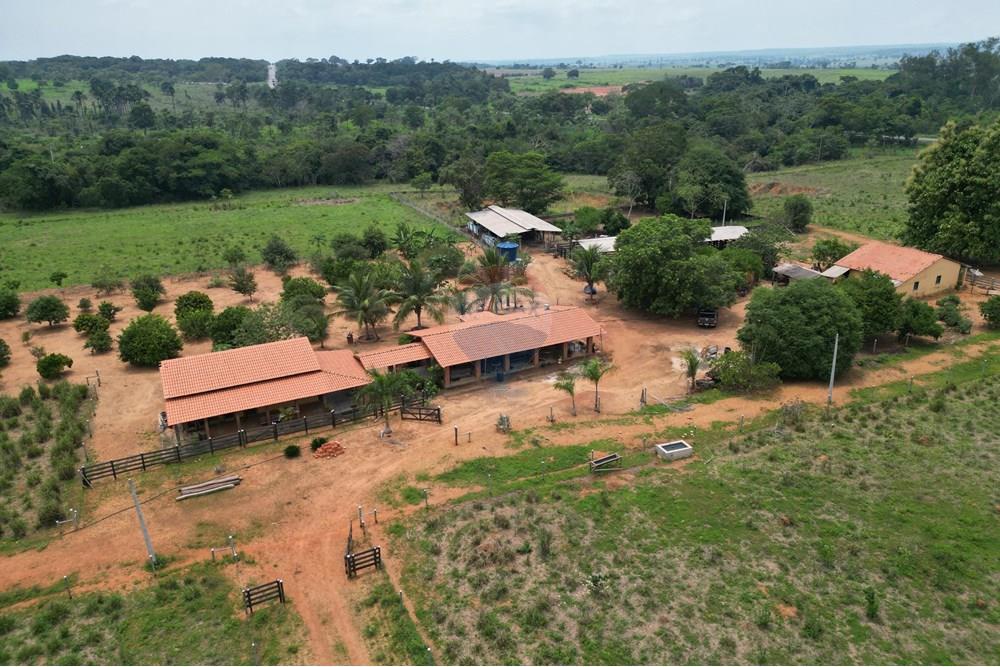 Fazenda - Venda - Nova Olinda , Tocantins - WhatsApp Image 2024-11-29 at 16.15.13.jpeg - 720991010-57