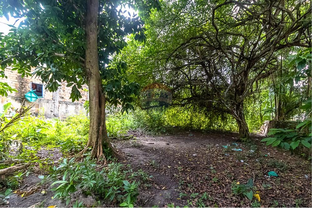 Terreno - Venda - Ananindeua , Pará - 15.jpg - 720921053-12