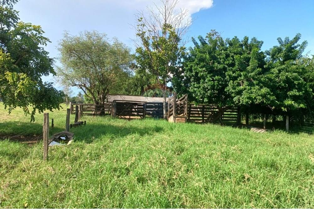 Chácara / Sítio / Fazenda - Venda - São José do Povo , Mato Grosso - WhatsApp Image 2025-04-03 at 17.01.50.jpeg - 722261017-2