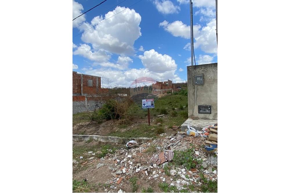 Terreno - Venda - Guarabira , Paraíba - WhatsApp Image 2024-11-19 at 13.04.19 (2).jpeg - 720551009-85