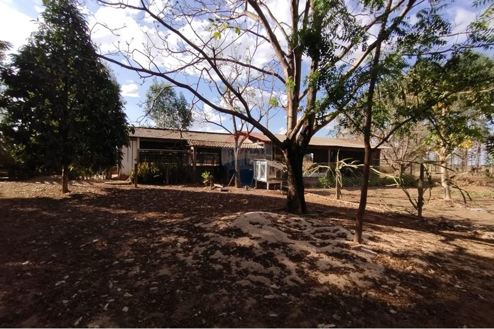 Chácara / Sítio / Fazenda - Venda - Sinop , Mato Grosso - WhatsApp Image 2025-08-07 at 14.46.31 (3).jpeg - 721561039-35