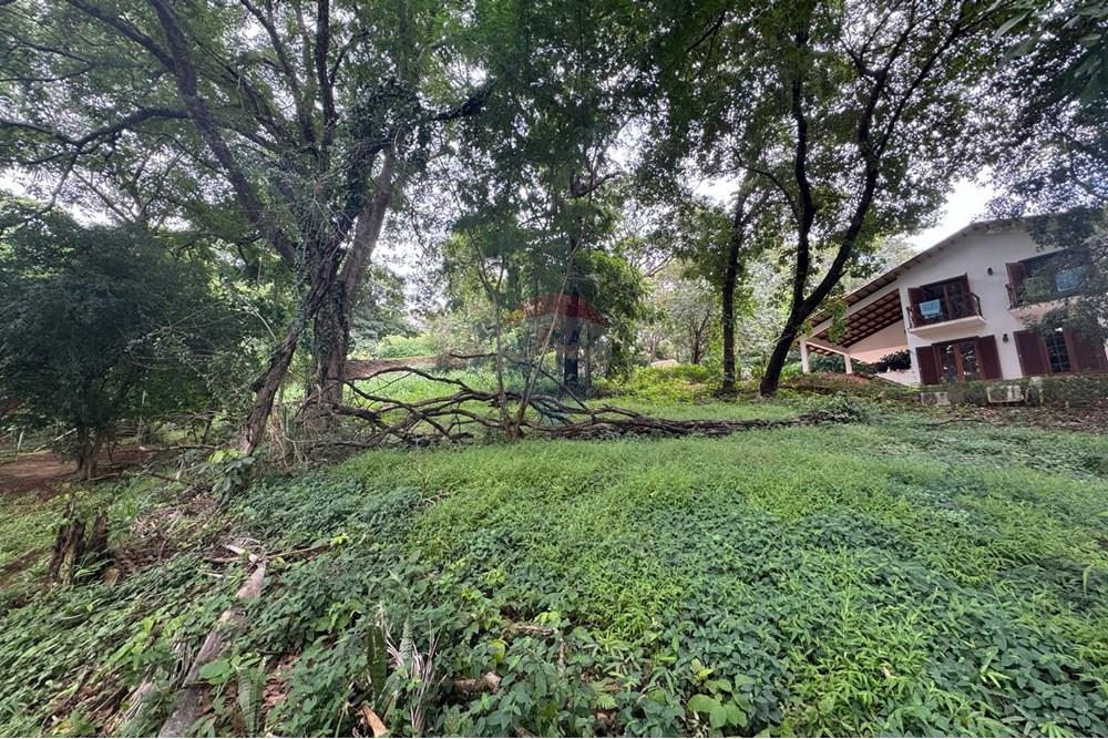 Terreno - Venda - Goiânia , Goiás - WhatsApp Image 2025-03-17 at 15.17.37.jpeg - 722271003-33