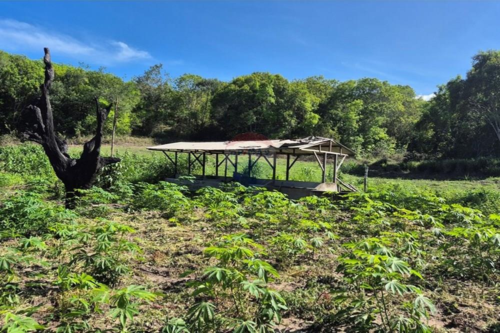 Chácara / Sítio / Fazenda - Venda - Mamanguape , Paraíba - 20250207_145113 1.jpg - 722011055-45
