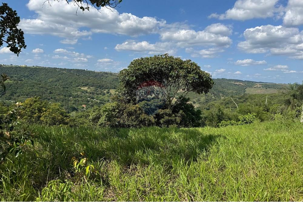 Terreno - Venda - Bananeiras , Paraíba - WhatsApp Image 2025-01-22 at 09.47.09 (2).jpeg - 720551002-74