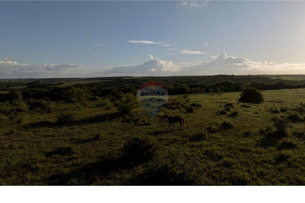 Terreno - Venda - Tibau do Sul , Rio Grande do Norte - AereaCavalo01.jpeg - 720891150-73