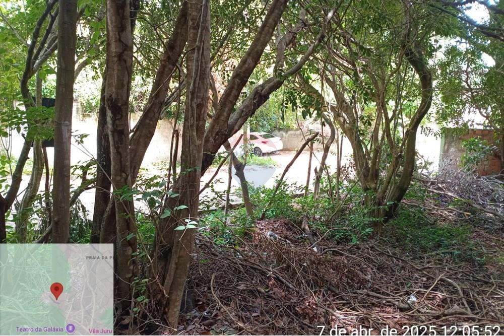 Terreno - Venda - Tibau do Sul , Rio Grande do Norte - Gustavo01.jpeg - 720891150-75