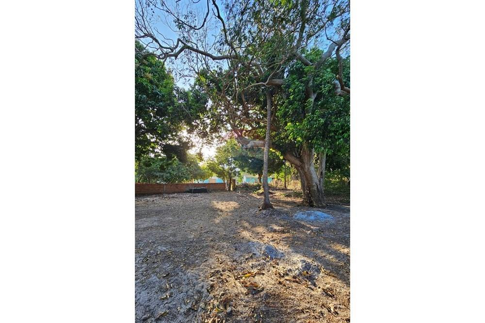 Terreno - Venda - Jijoca de Jericoacoara , Ceará - 20240905_163811.jpg - 722341001-43