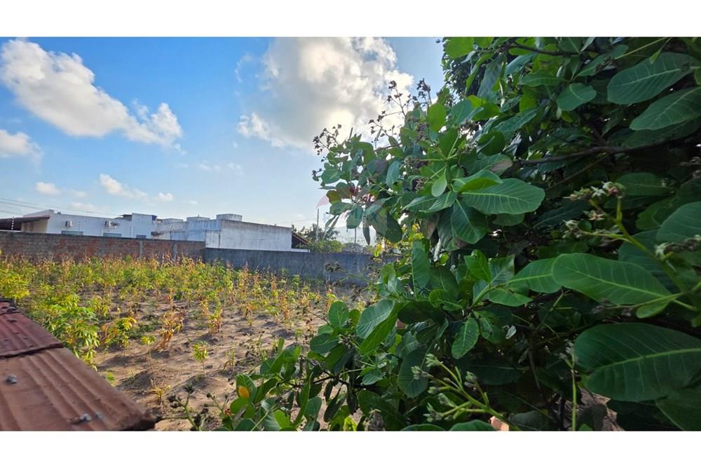 Terreno - Venda - Conde , Paraíba - 4e7c7c48-cfd6-4617-b468-424acd0a7479.jpg - 720871061-3