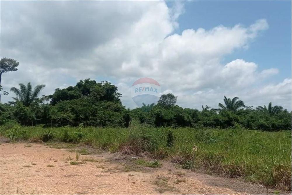 Terreno - Venda - Piçarra , Pará - 3 - 720991002-131