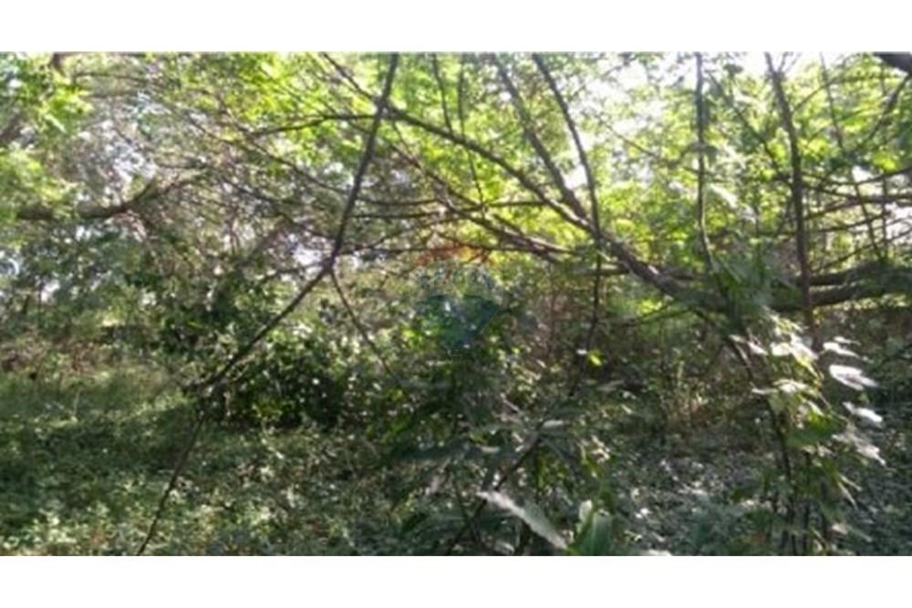 Terreno - Venda - Fortaleza , Ceará - foto4.jpg - 720971021-111