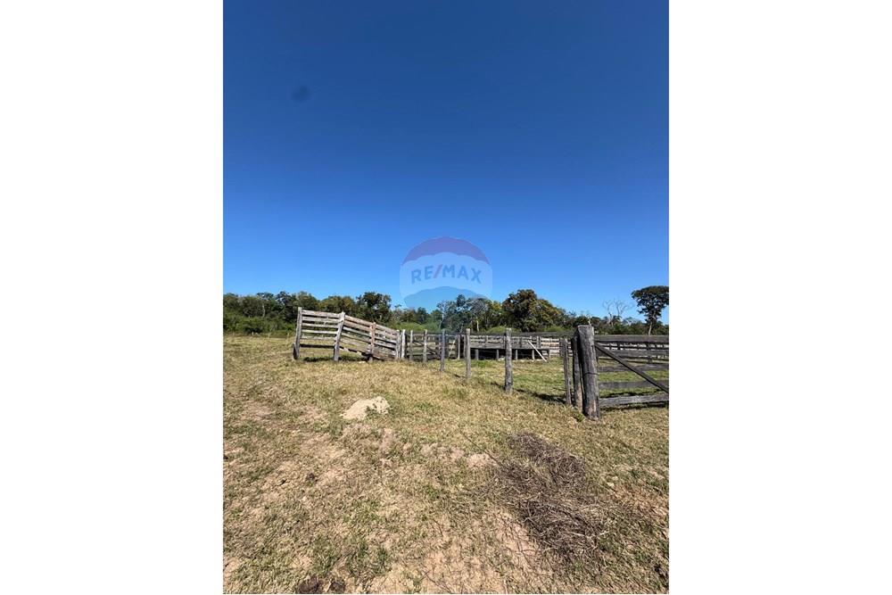 Fazenda - Venda - Santo Antônio do Leverger , Mato Grosso - 1fe6fa1c-4db0-4335-9649-d3cd8c42d35d.jpeg - 720611035-41