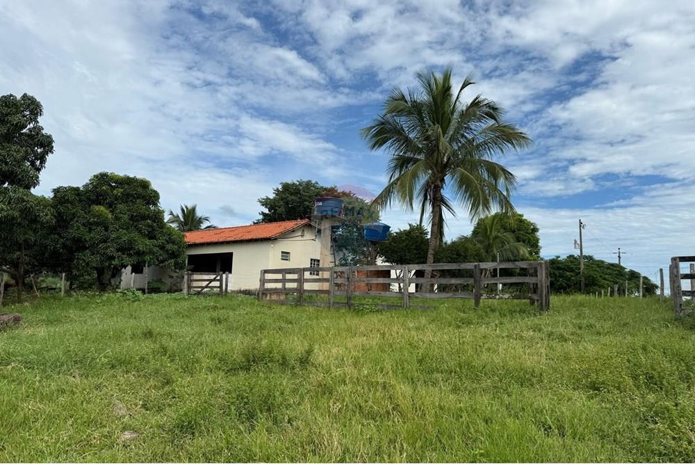 Chácara / Sítio / Fazenda - Venda - São José do Povo , Mato Grosso - IMG-20250407-WA0079.jpg - 720851027-112