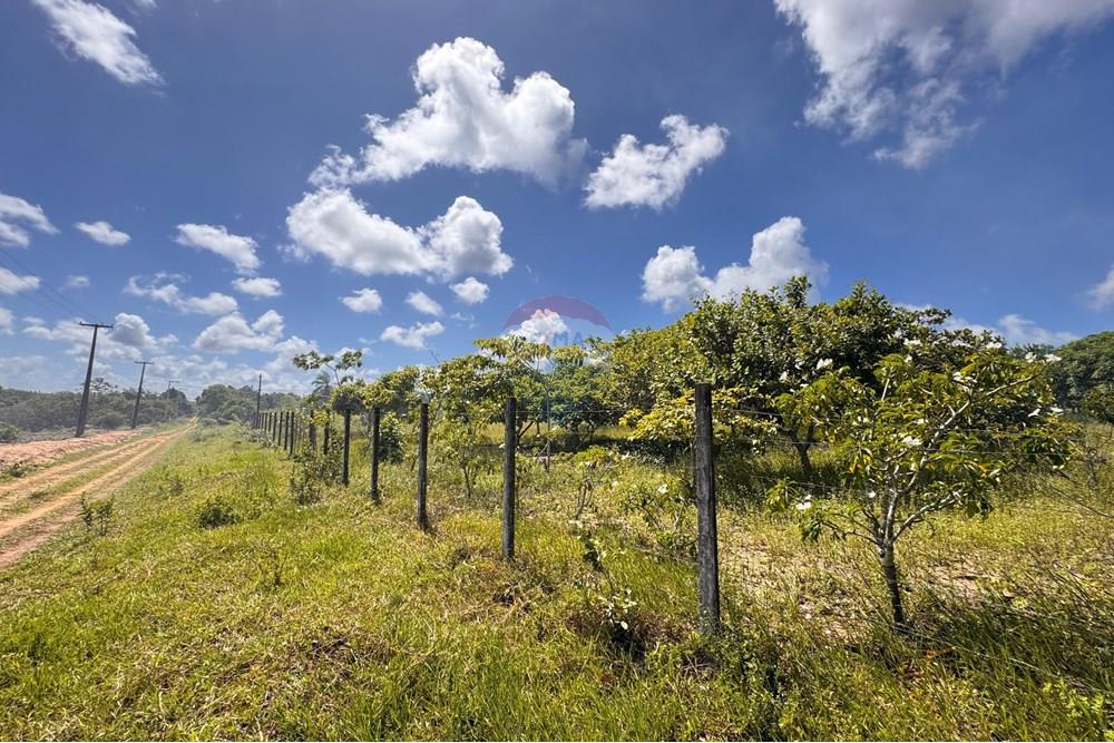 Terreno - Venda - Conde , Paraíba - 18.jpg - 720471011-115