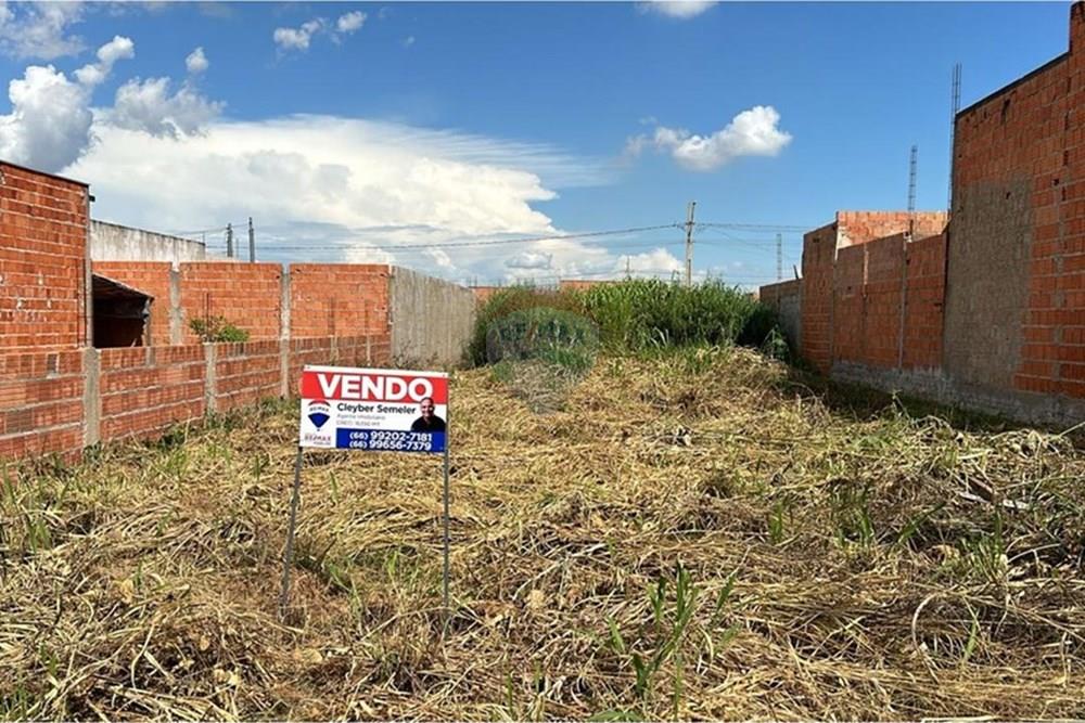 Terreno - Venda - Rondonópolis , Mato Grosso - Imagem do WhatsApp de 2025-03-11 à(s) 15.24.54_3e85e3d7.jpg - 722261002-8