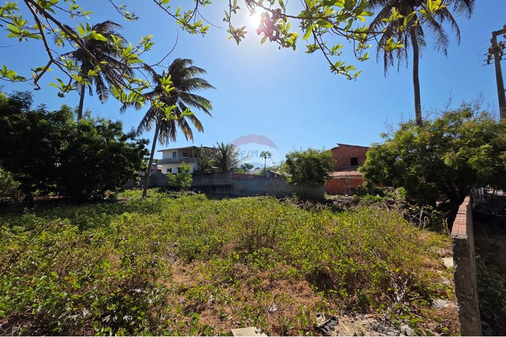Terreno - Venda - Trairi , Ceará - 1000193096.jpg - 722341001-100