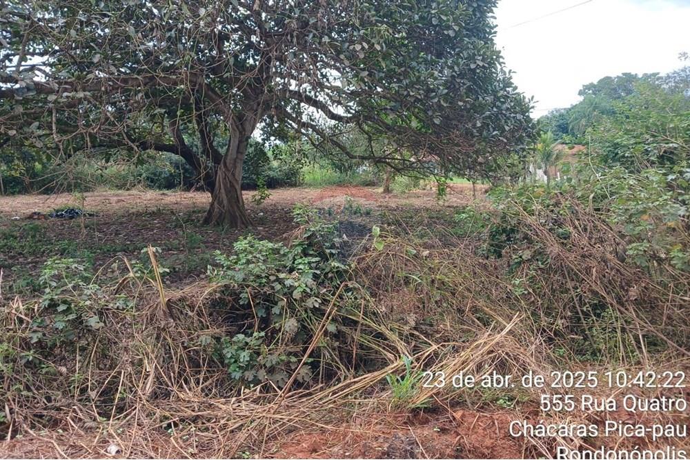 Chácara / Sítio / Fazenda - Venda - Rondonópolis , Mato Grosso - WhatsApp Image 2025-04-30 at 16.36.20 (1).jpeg - 722261008-11