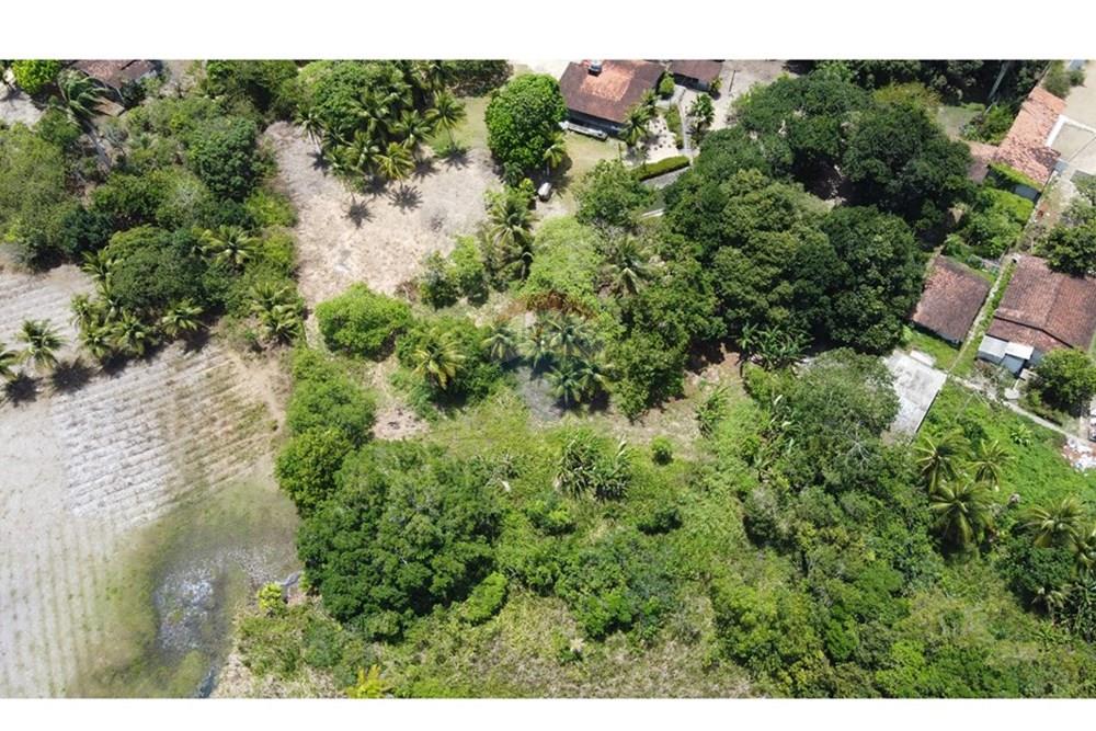 Chácara / Sítio / Fazenda - Venda - Conde , Paraíba - DJI_0280.JPG - 720871004-216