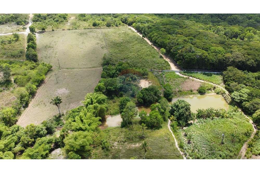 Chácara / Sítio / Fazenda - Venda - Conde , Paraíba - WhatsApp Image 2024-01-29 at 11.57.26 (4).jpeg - 720871004-212