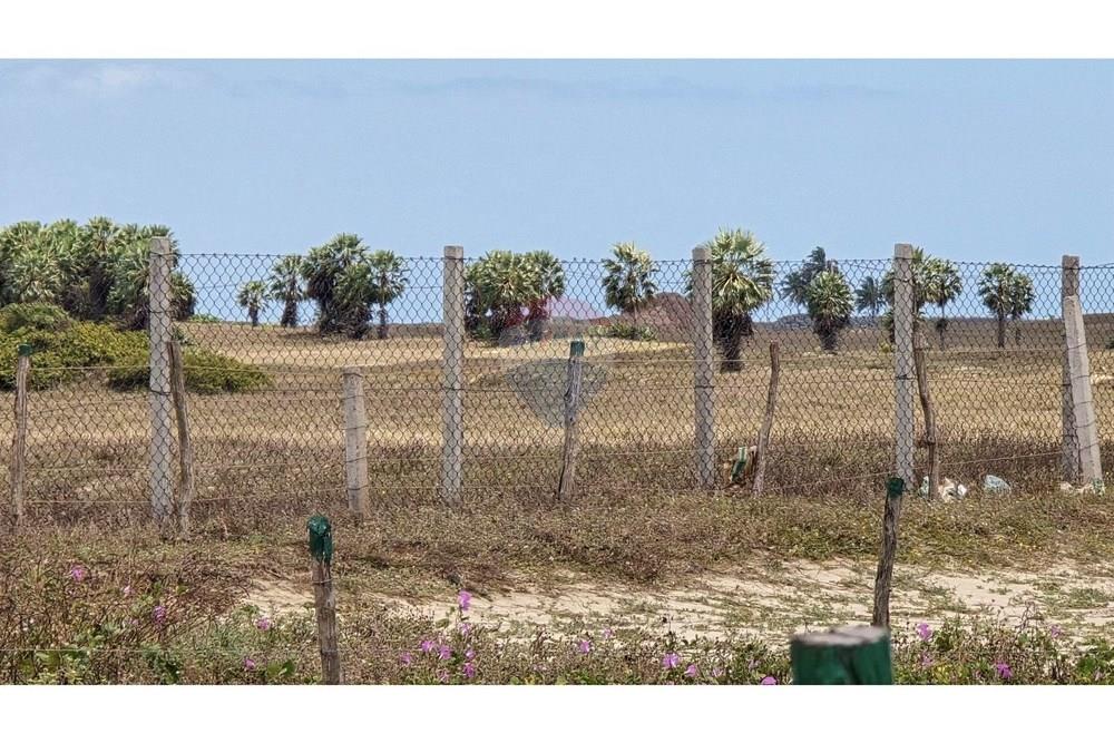 Terreno - Venda - Cruz , Ceará - 20250817_105709.jpg - 722341001-75