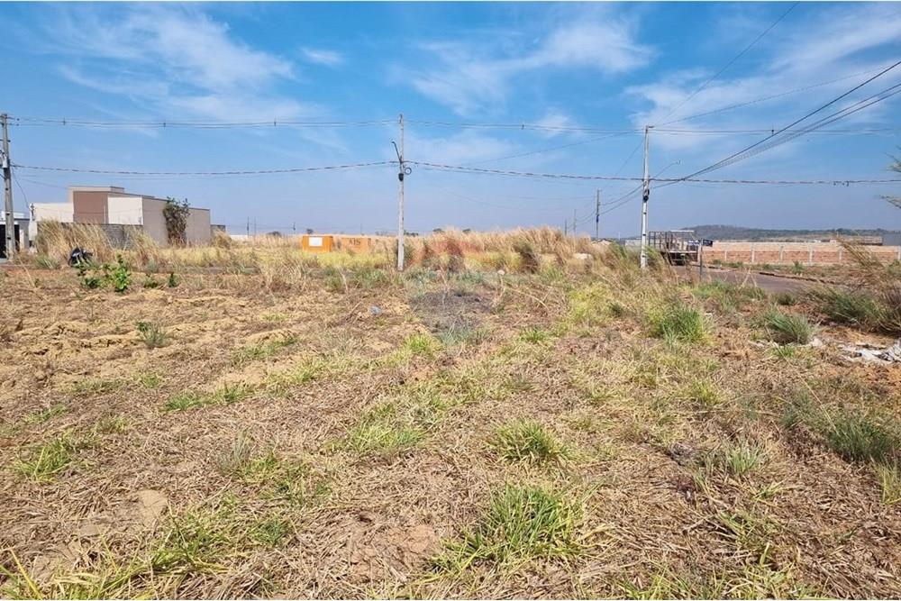 Terreno - Venda - Confresa , Mato Grosso - IMG-20250915-WA0040.jpg - 720641046-6