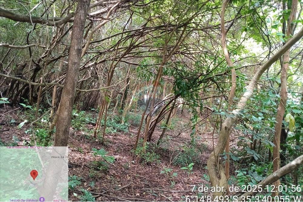 Terreno - Venda - Tibau do Sul , Rio Grande do Norte - Gustavo4.jpeg - 720891150-75