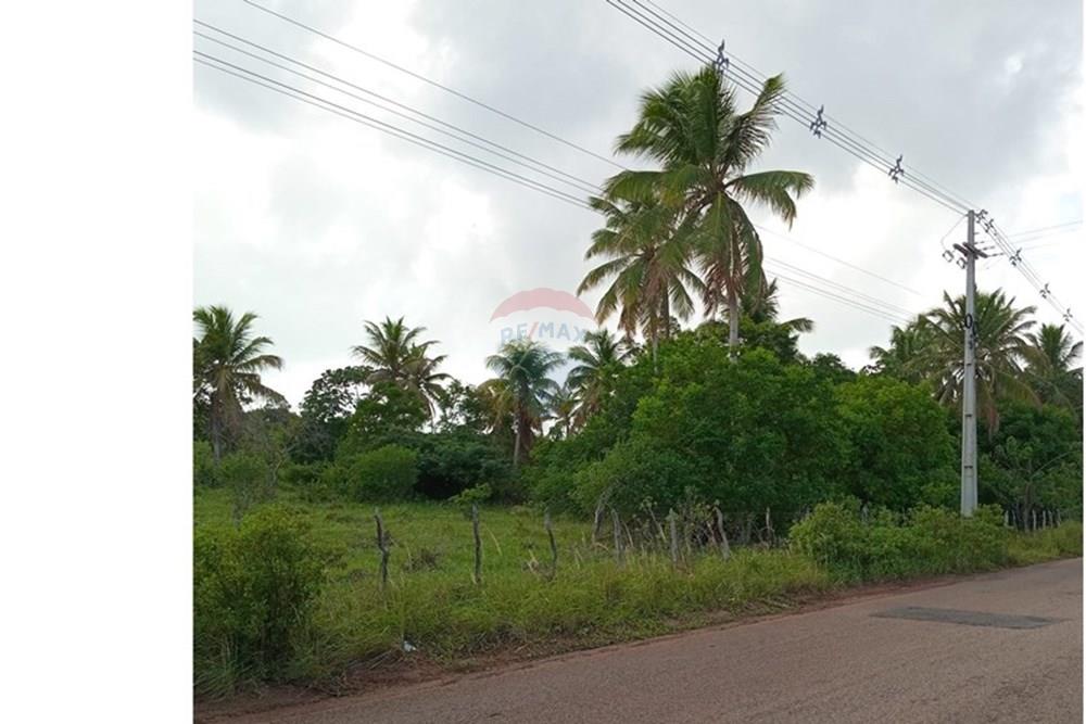 Terreno - Venda - Tibau do Sul , Rio Grande do Norte - LuizArea19.jpeg - 720891150-73