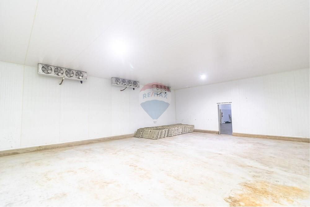 Galpão - Venda - Distrito de Icoaraci , Pará - IMG_5820.jpg - 720921067-61