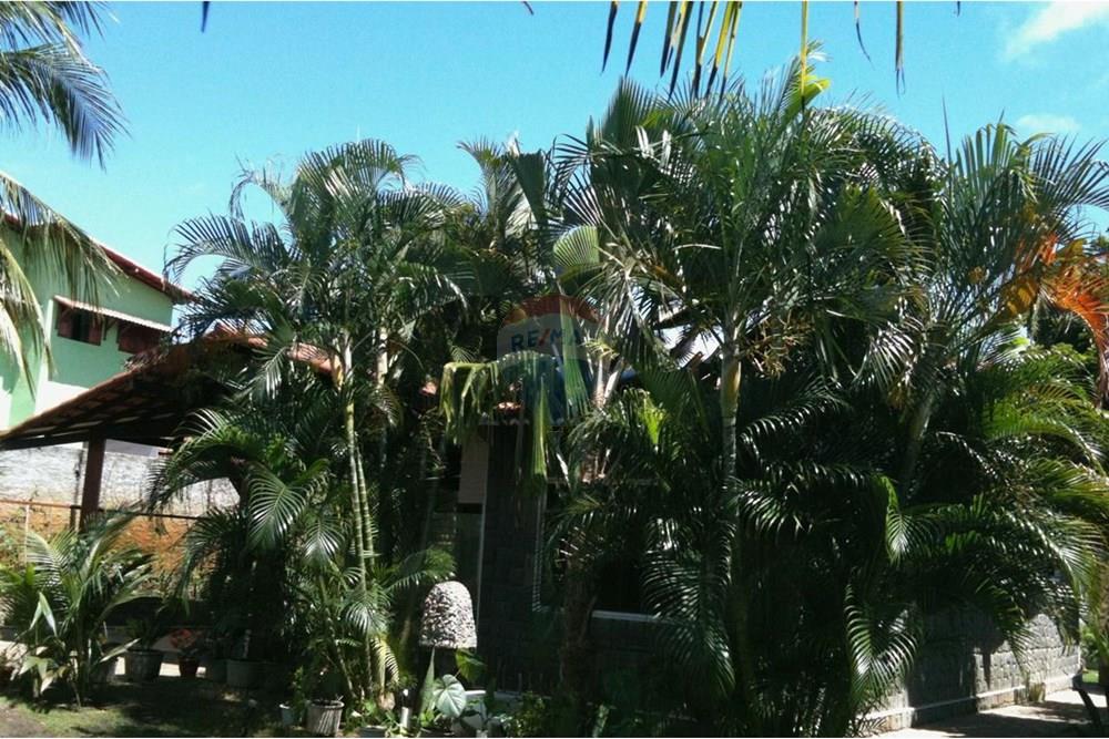 Casa - Venda - Ceará-Mirim , Rio Grande do Norte - WhatsApp Image 2025-09-18 at 12.47.54 (1).jpeg - 720891151-59