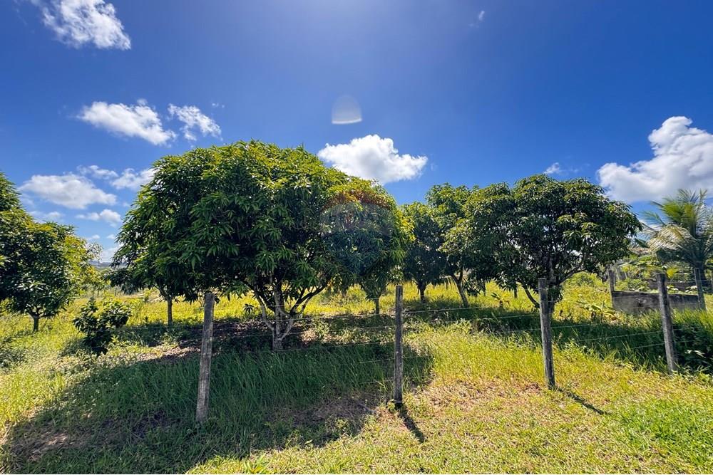 Terreno - Venda - Conde , Paraíba - 11.jpg - 720471011-115