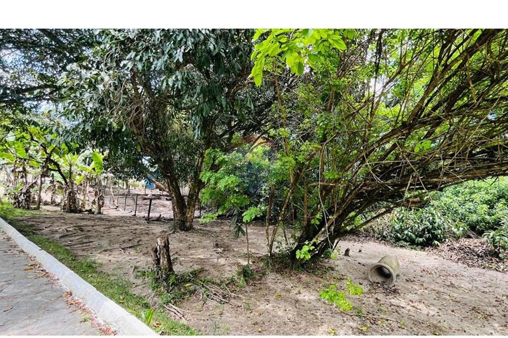 Terreno - Venda - Conde , Paraíba - WhatsApp Image 2025-09-24 at 13.36.57.jpeg - 720871004-211