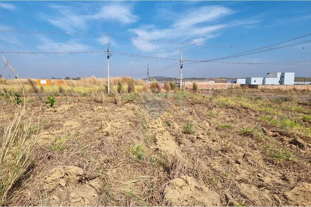 Terreno - Venda - Confresa , Mato Grosso - IMG-20250915-WA0030.jpg - 720641046-6