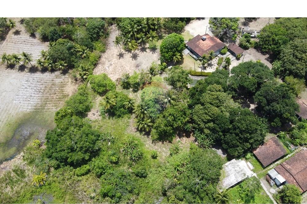 Chácara / Sítio / Fazenda - Venda - Conde , Paraíba - DJI_0281.JPG - 720871004-216