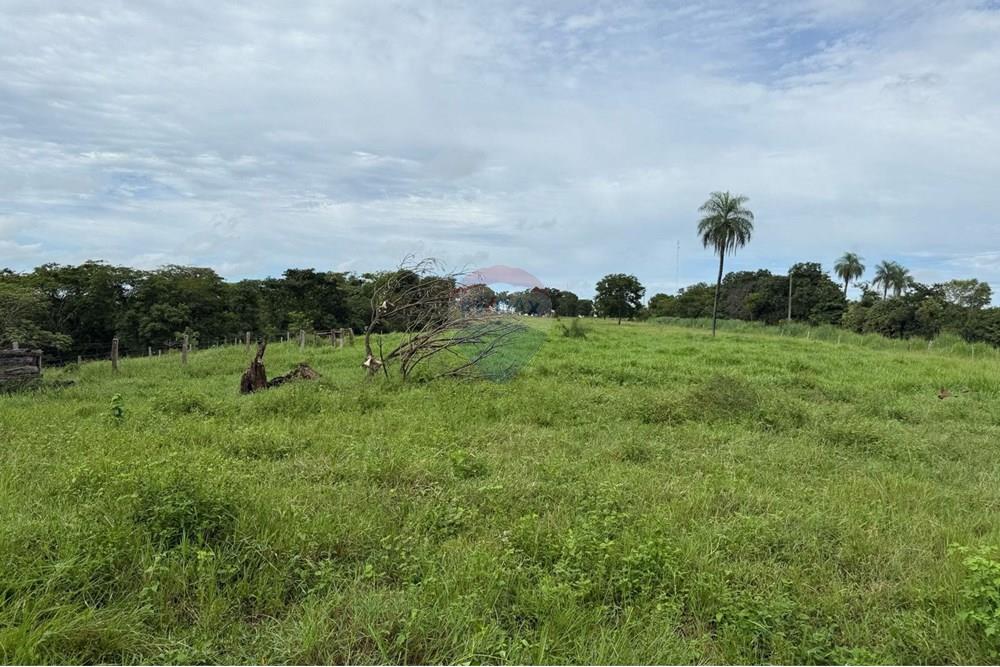 Chácara / Sítio / Fazenda - Venda - São José do Povo , Mato Grosso - IMG-20250407-WA0082.jpg - 720851027-112