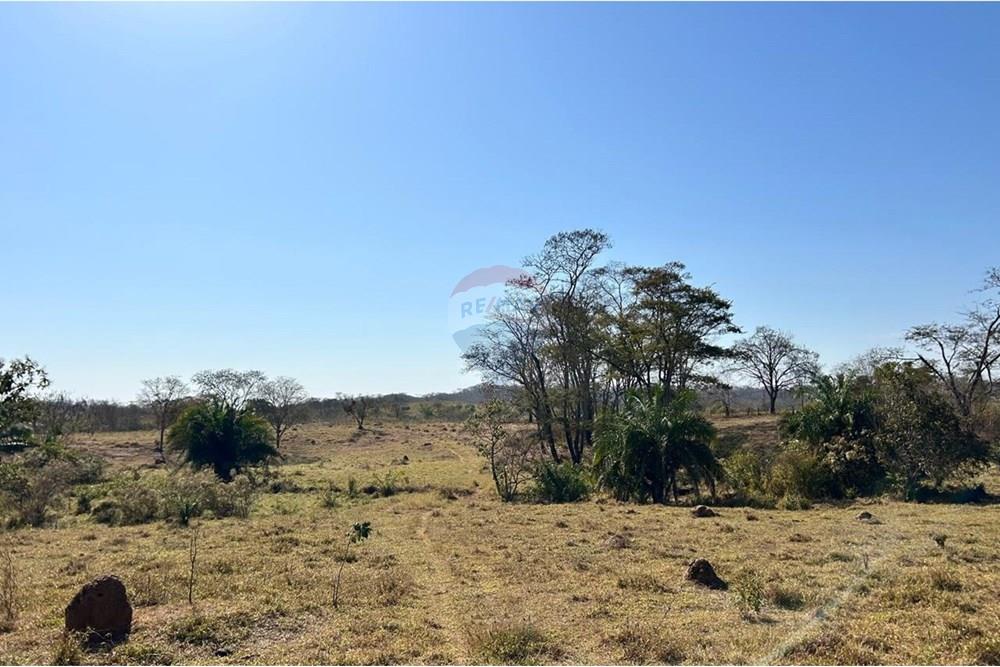 Fazenda - Venda - São José do Povo , Mato Grosso - WhatsApp Image 2025-08-20 at 09.44.08 (2).jpeg - 720561029-219