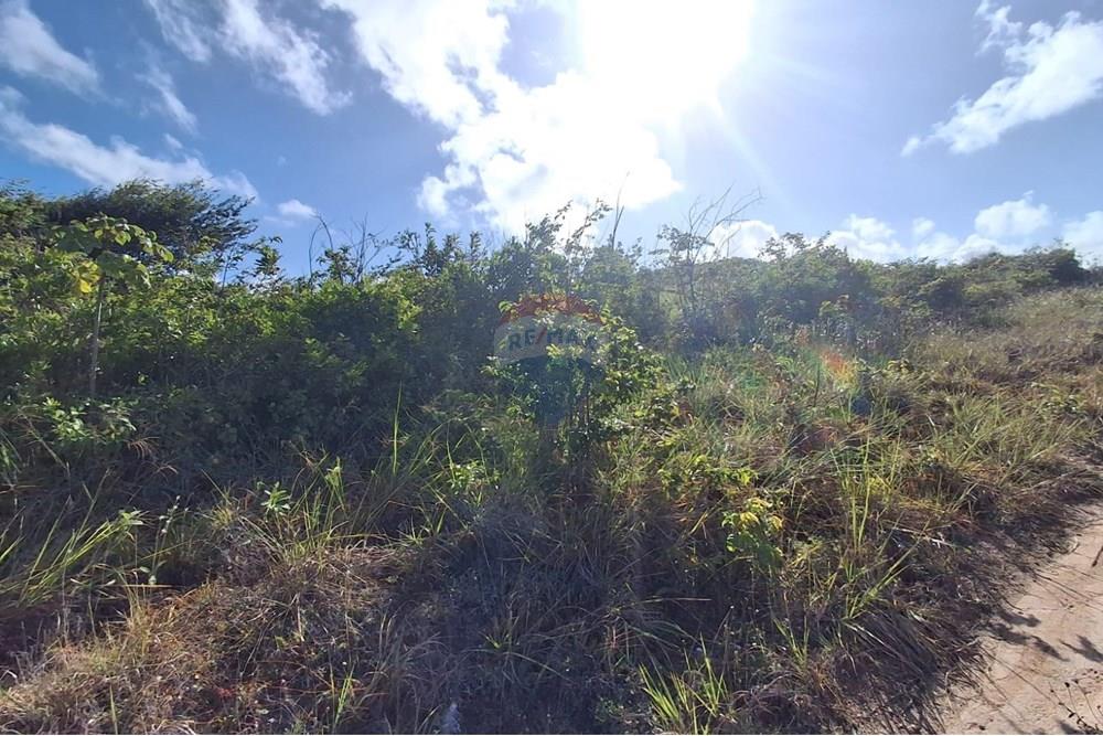 Terreno - Venda - Pitimbu , Paraíba - 89cf0be6-bb0a-401f-bb8c-9a6b173a8805 - Copia.jpeg - 720871044-88