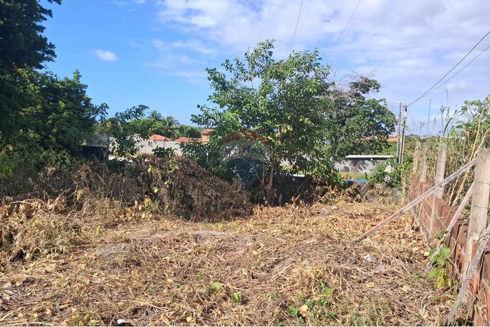 Terreno - Venda - Conde , Paraíba - ce2dde99-7fa6-4e1f-bf31-97bb5f2ba975.jpeg - 720871044-69