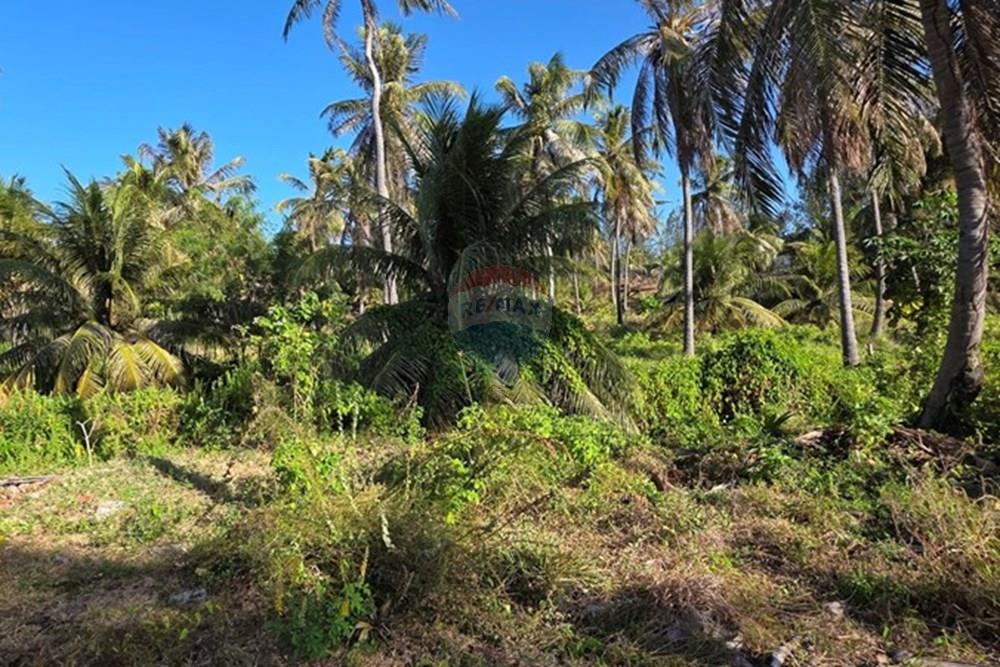 Terreno - Venda - Trairi , Ceará - 1000189523.jpg - 722341001-103