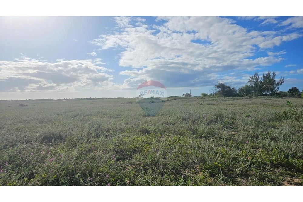 Terreno - Venda - São Miguel do Gostoso , Rio Grande do Norte - WhatsApp Image 2025-07-21 at 06.42.52 (1).jpeg - 720891215-8