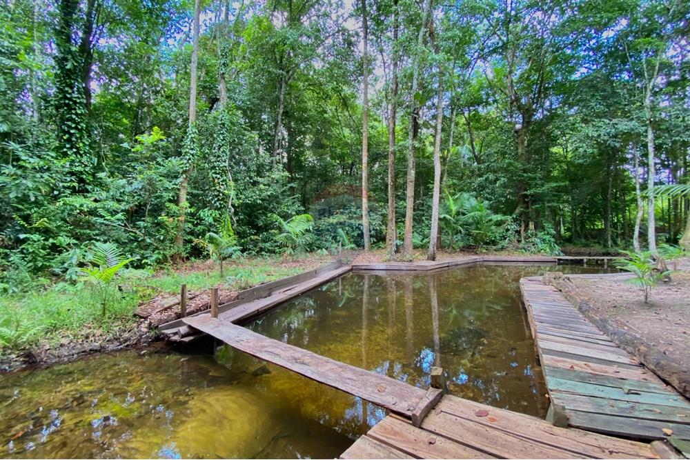 Chácara / Sítio / Fazenda - Venda - Barcarena , Pará - IMG-20250924-WA0471.jpg - 720921028-93