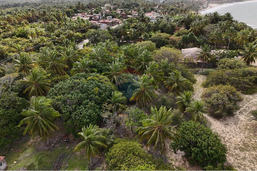 Terreno - Venda - Maxaranguape , Rio Grande do Norte - dji_fly_20250822_150018_0_1755885733681_photo.jpg - 720891155-334