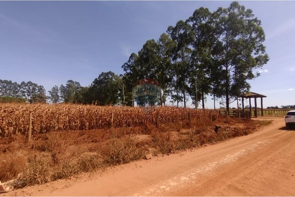 Chácara / Sítio / Fazenda - Venda - Sinop , Mato Grosso - WhatsApp Image 2025-06-10 at 12.15.24.jpeg - 721561039-34