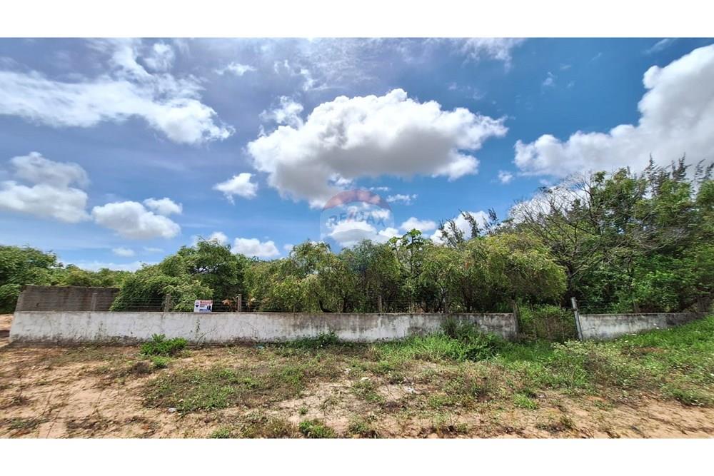 Terreno - Venda - Nísia Floresta , Rio Grande do Norte - Imagem do WhatsApp de 2025-02-14 à(s) 14.28.59_90cf652d.jpg - 720891106-29