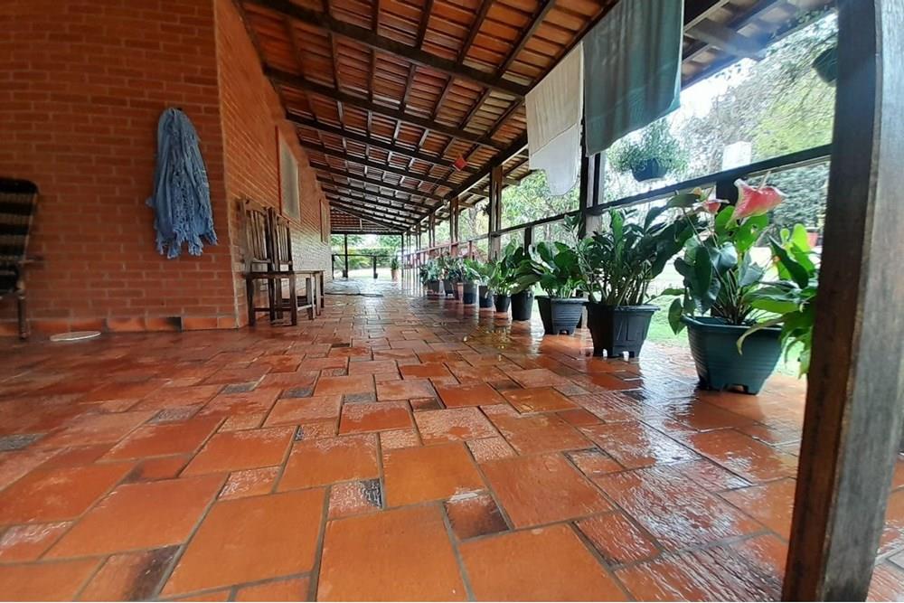 Chácara / Sítio / Fazenda - Venda - Nova Veneza , Goiás - WhatsApp Image 2025-10-08 at 10.28.18 (1).jpeg - 722271015-32