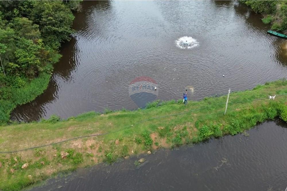 Chácara / Sítio / Fazenda - Venda - Novo Airão , Amazonas - Tanques de Peixes16.jpg - 720721055-29