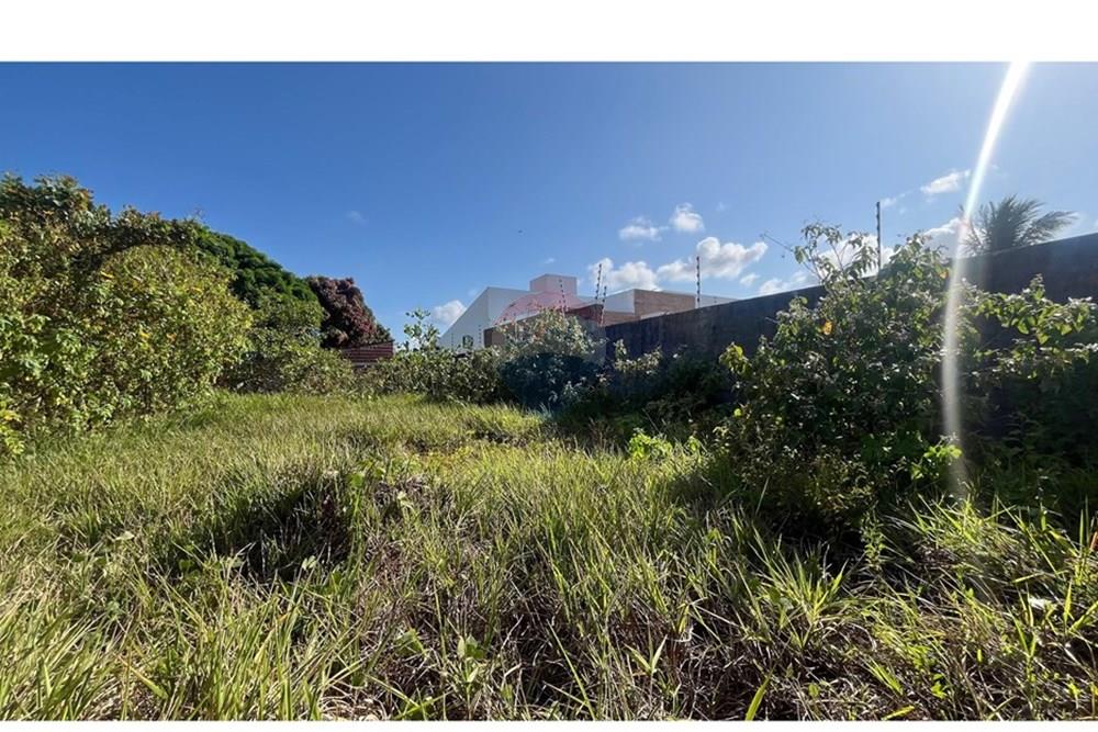 Terreno - Venda - Conde , Paraíba - WhatsApp Image 2025-10-16 at 14.18.36 (3).jpeg - 720871004-214