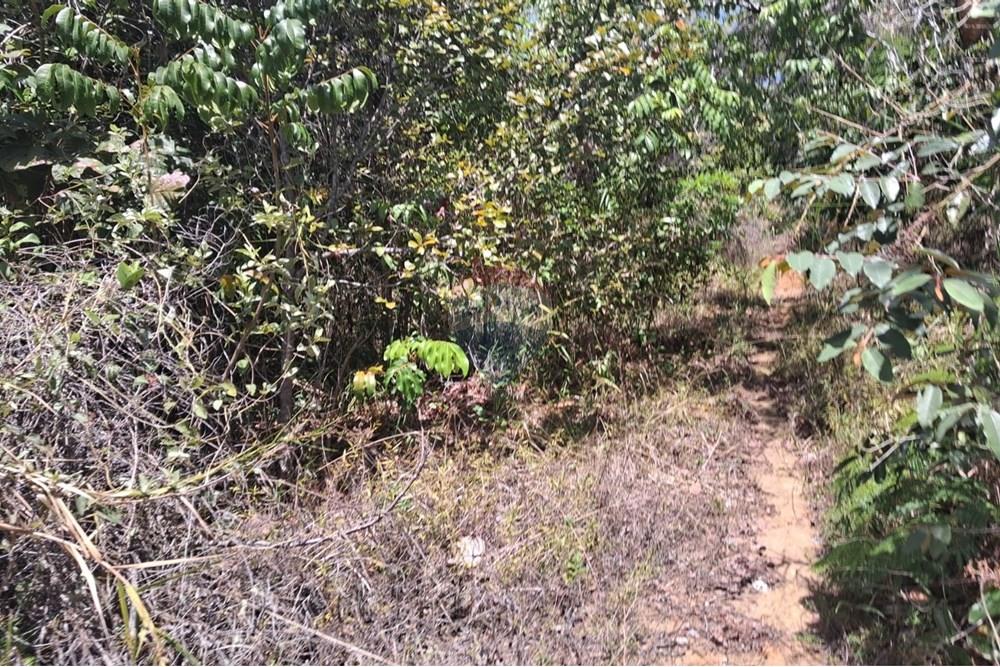 Terreno - Venda - Conde , Paraíba - e905f58c-fb53-4e53-b4b5-a67d3954ce35.jpeg - 720871044-33