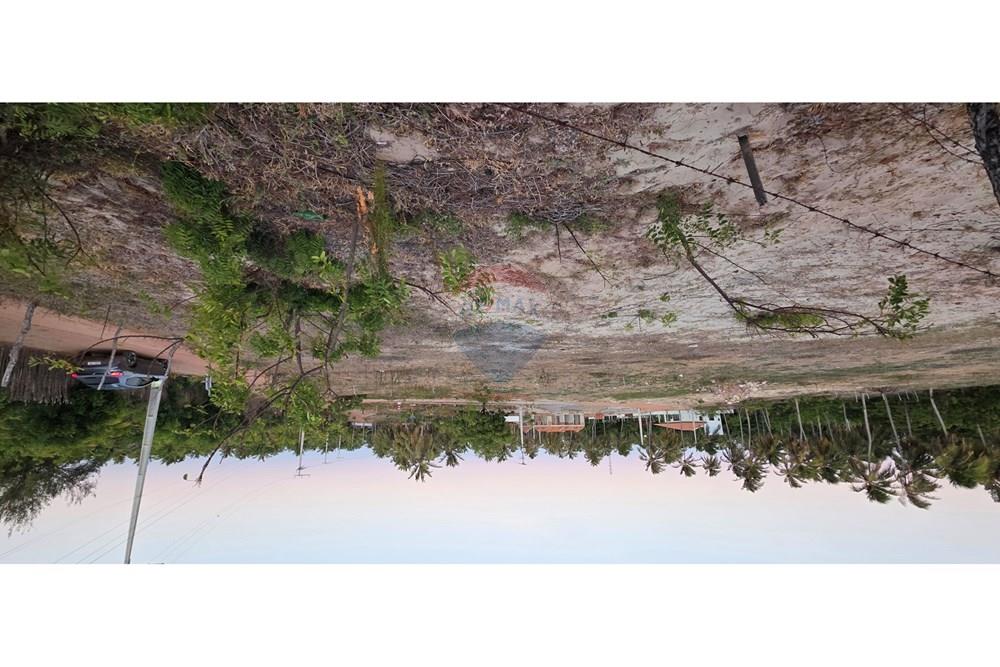 Terreno - Venda - Trairi , Ceará - 1000190159.jpg - 722341001-102