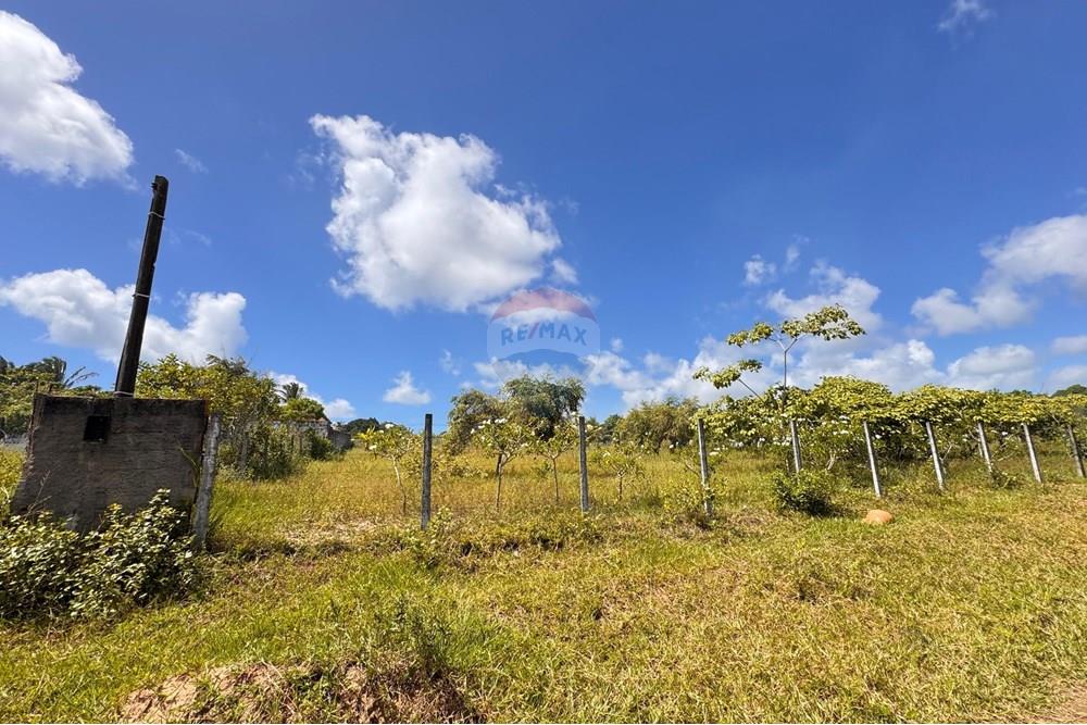 Terreno - Venda - Conde , Paraíba - 19.jpg - 720471011-115