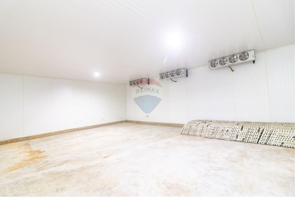 Galpão - Venda - Distrito de Icoaraci , Pará - IMG_5818.jpg - 720921067-61