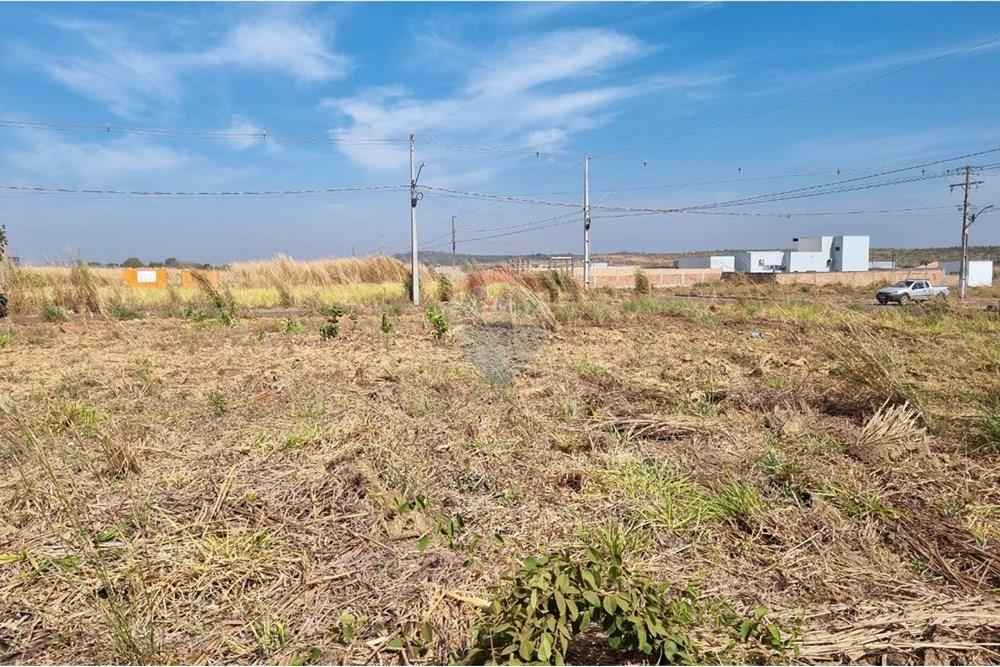 Terreno - Venda - Confresa , Mato Grosso - IMG-20250915-WA0035.jpg - 720641046-6